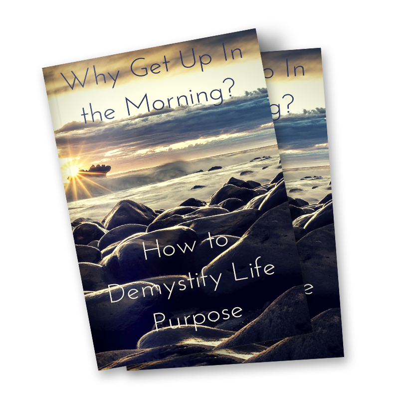Why get up in the morning purpose book cover.