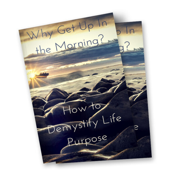 How to demystify life purpose book cover