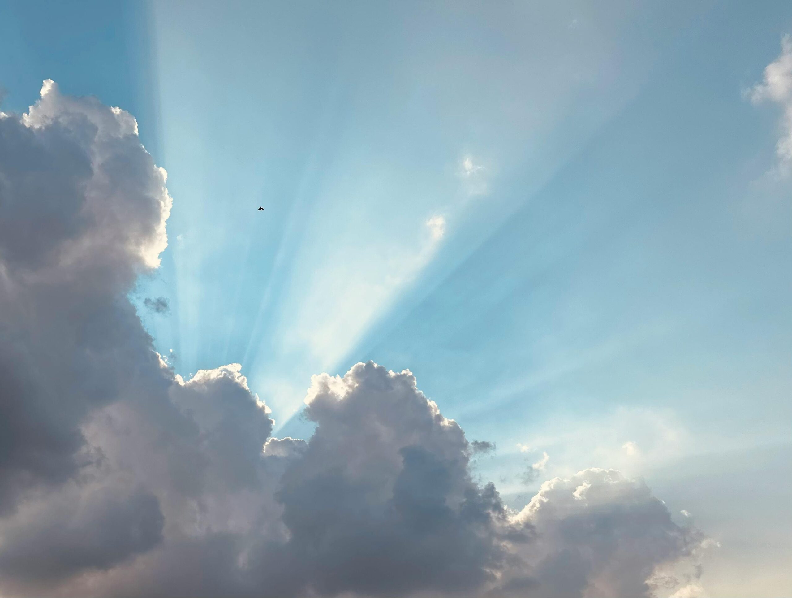 intuitive knowledge of possibilities