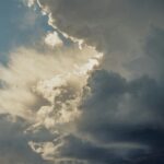 trust in possibility