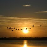 choosing freedom through connection