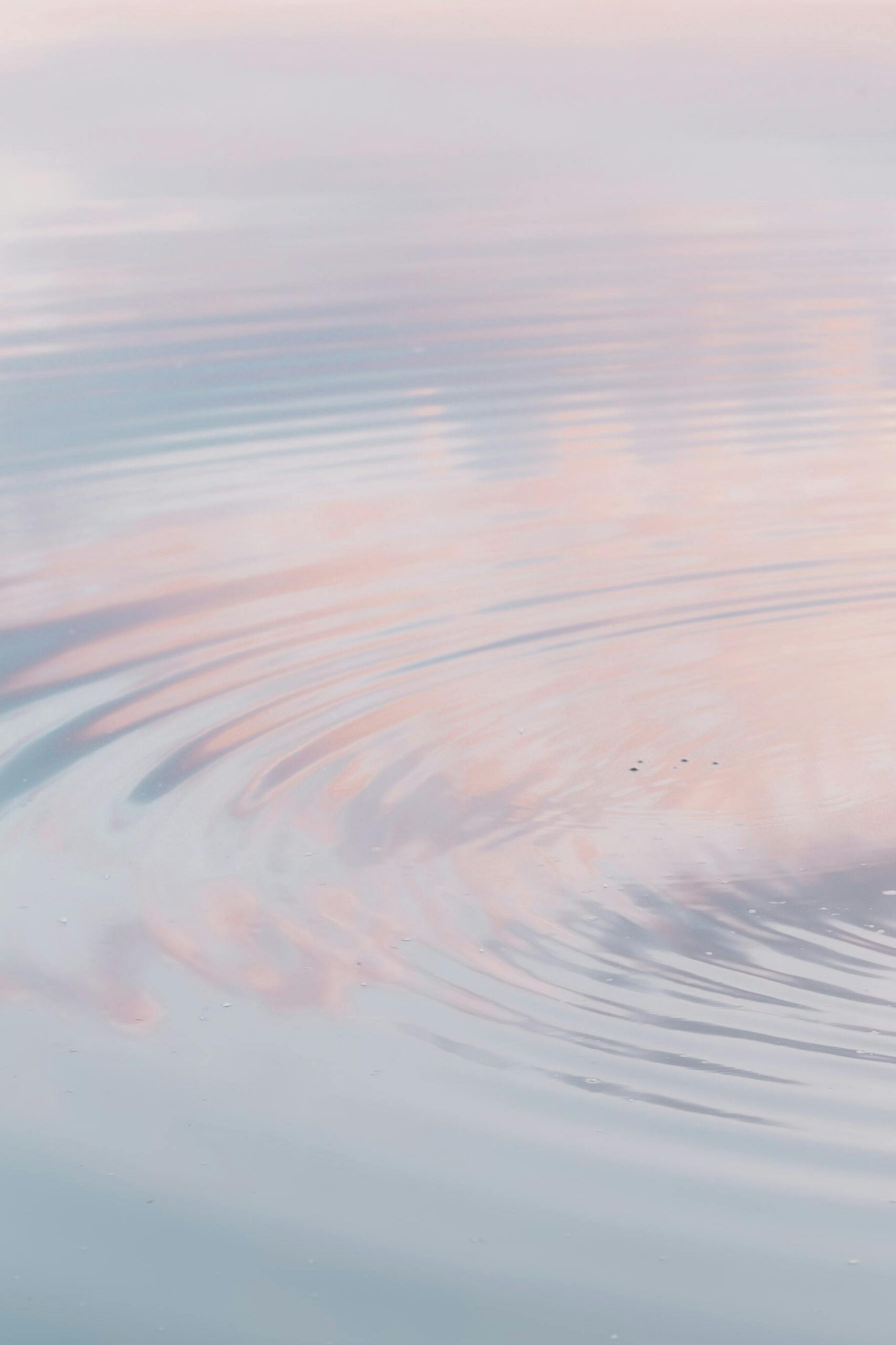 our perception is shaped by how we share it with others