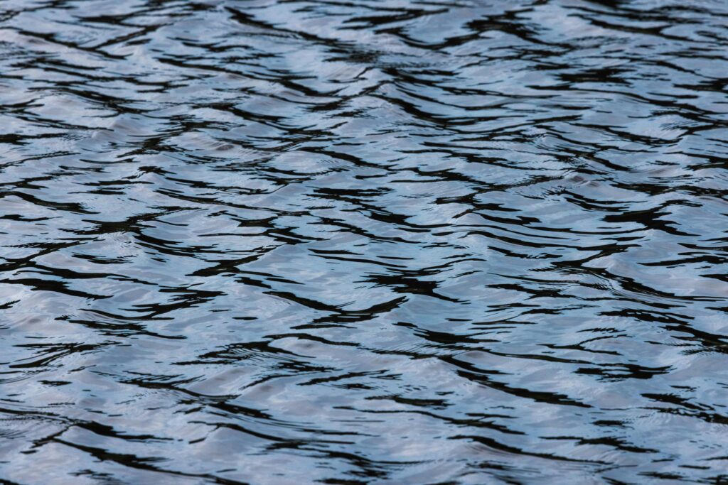 Living in resonance: coherence in motion