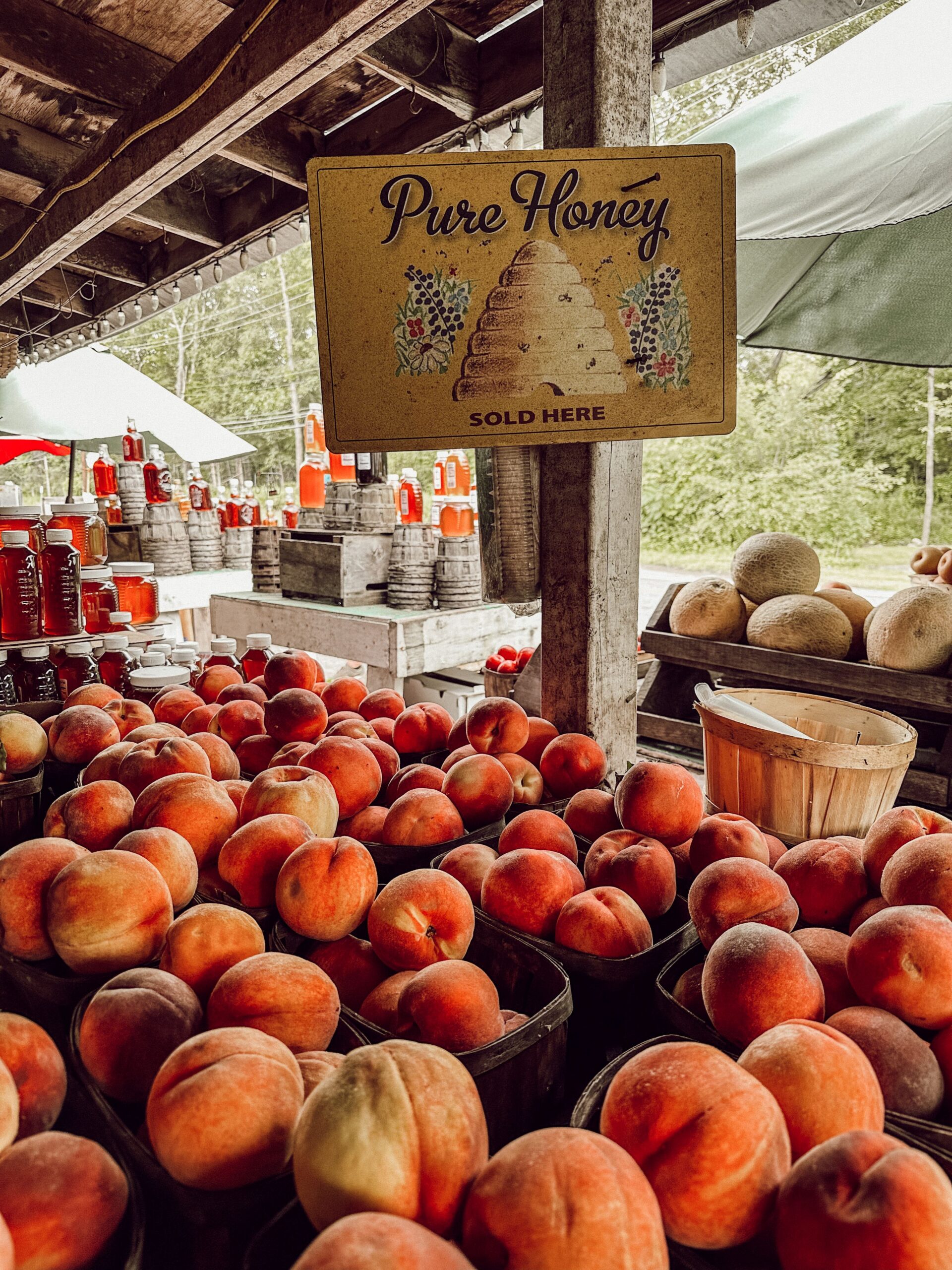 Peach orchard and fruit stand overflowing with ripe peaches, reflecting the abundance and awareness at the heart of intuitive eating
